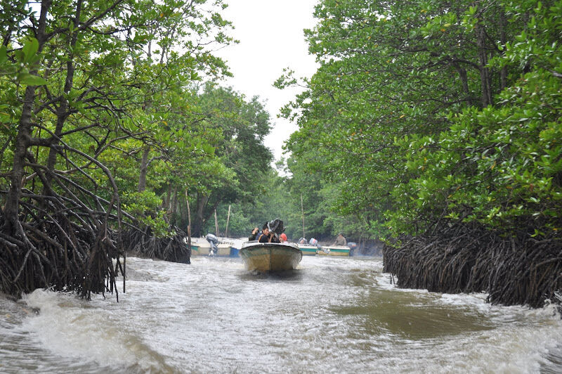 Saigon Can Gio Mangrove Biosph