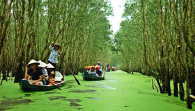 Ho Chi Minh City Full Day Private Eco & Nature Escape with Airport Pickup