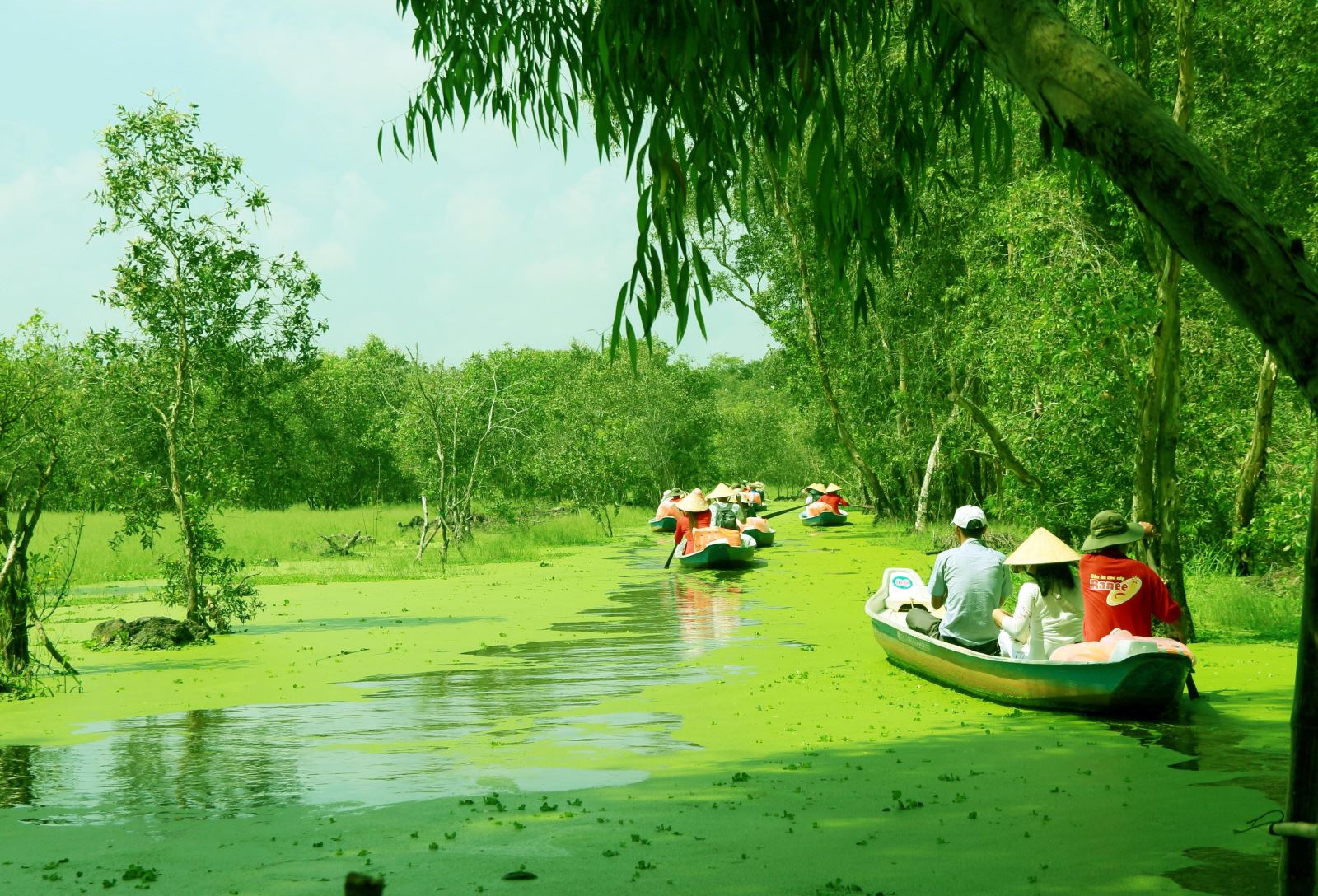 Saigon Can Gio Mangrove Biosph