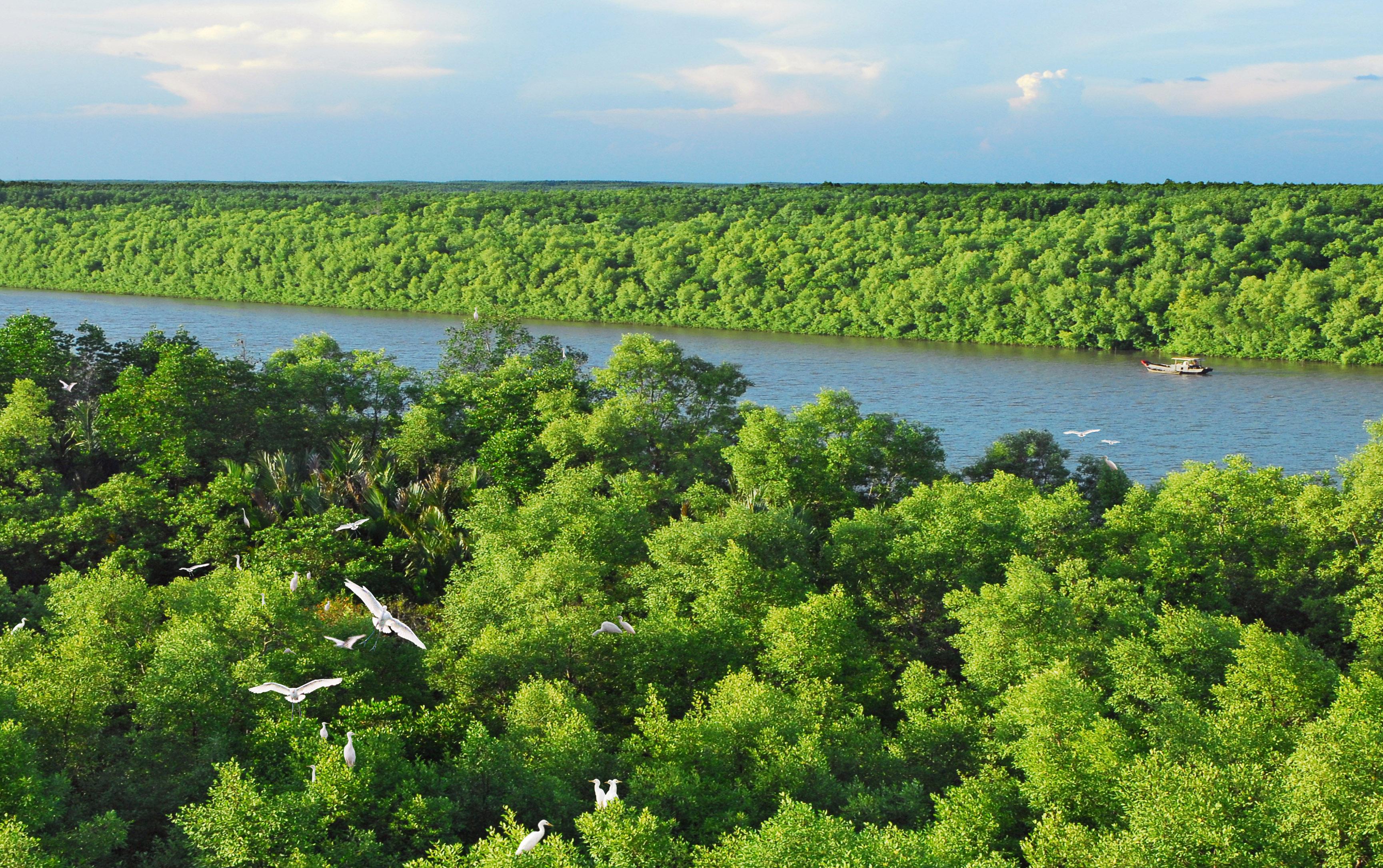 Saigon Can Gio Mangrove Biosph