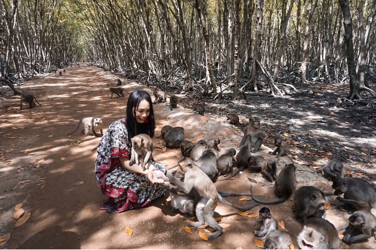 Saigon Can Gio Mangrove Biosph