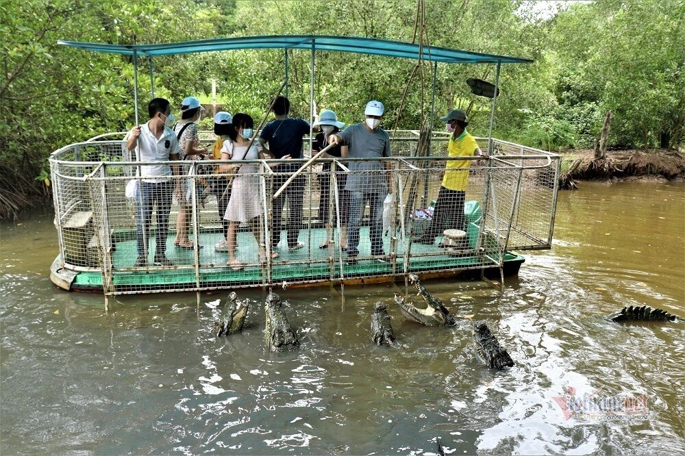 Saigon Can Gio Mangrove Biosph