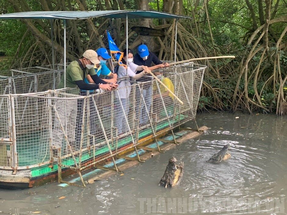 Saigon Can Gio Mangrove Biosph