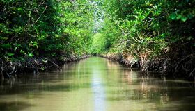 Ho Chi Minh City Full Day Private Can Gio Mangrove Eco Adventure