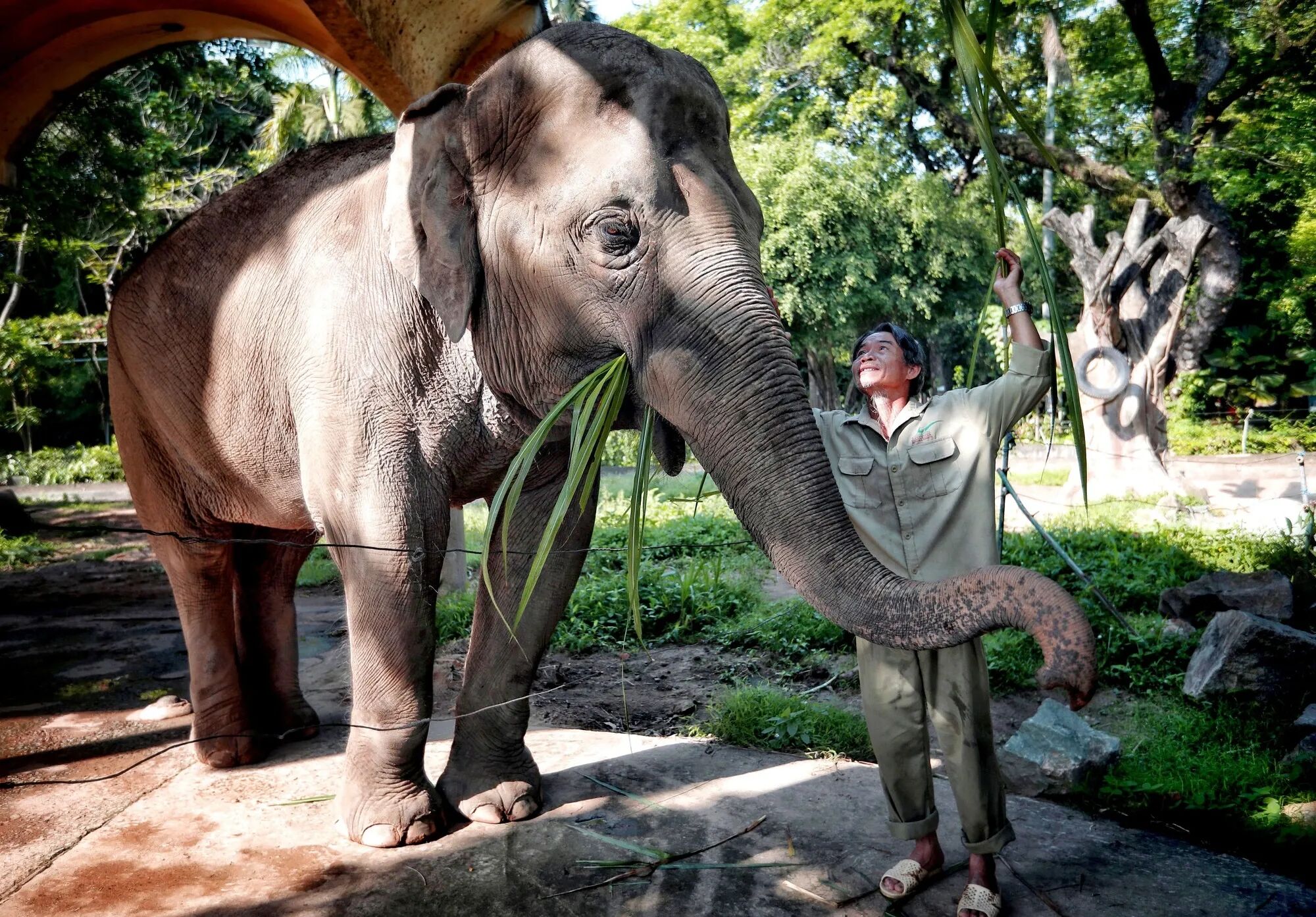 Saigon Thao Cam Vien Zoo 12