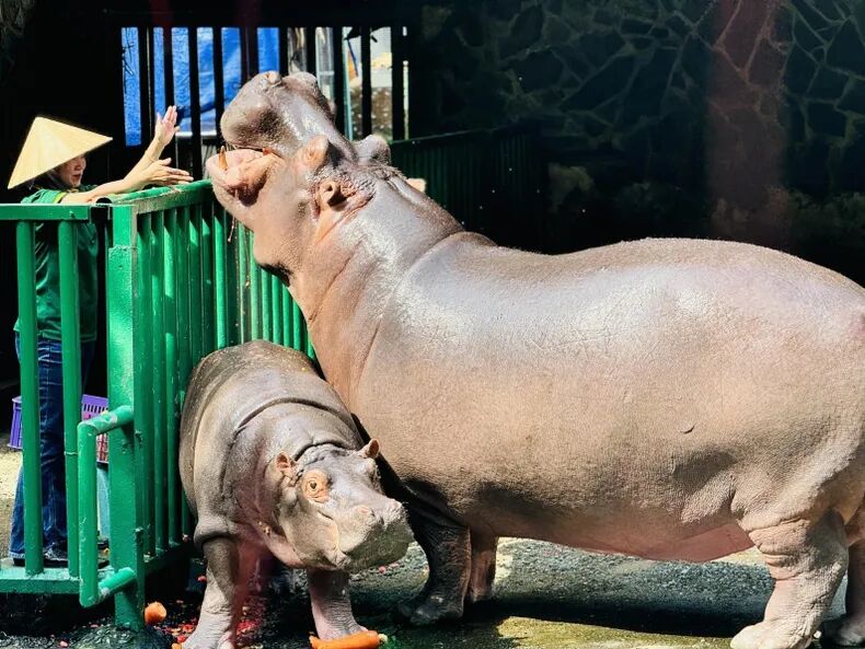 Saigon Thao Cam Vien Zoo 15