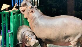 Saigon Full Day Private Family Adventure Tour