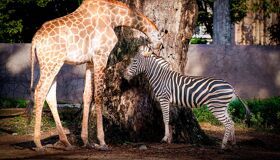 Saigon Family Explorer Full Day Private Tour with Airport Drop-off