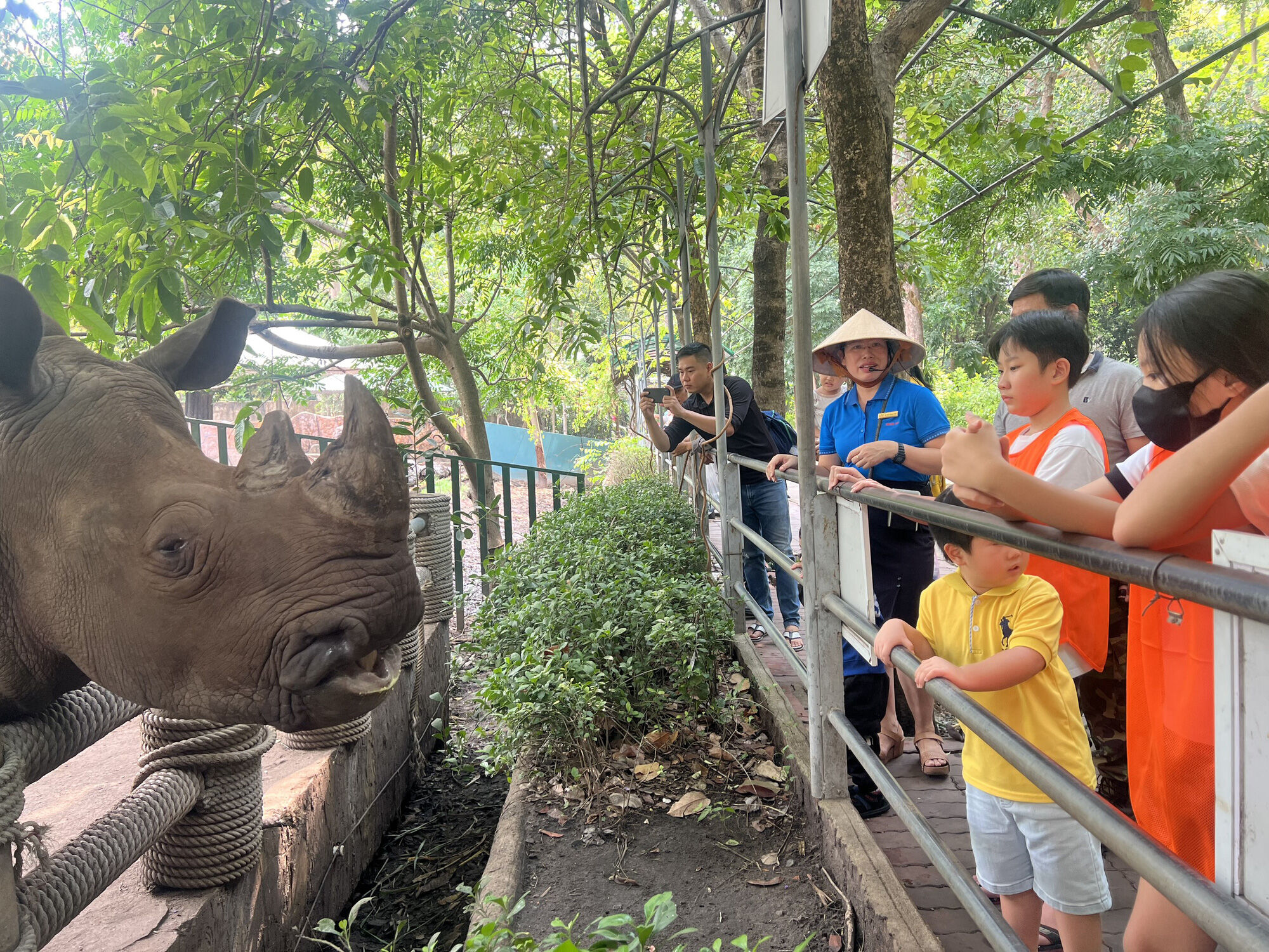 Saigon Thao Cam Vien Zoo 18