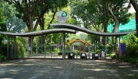 Ho Chi Minh City Full Day Private Parks & Heritage Tour with Airport Pickup