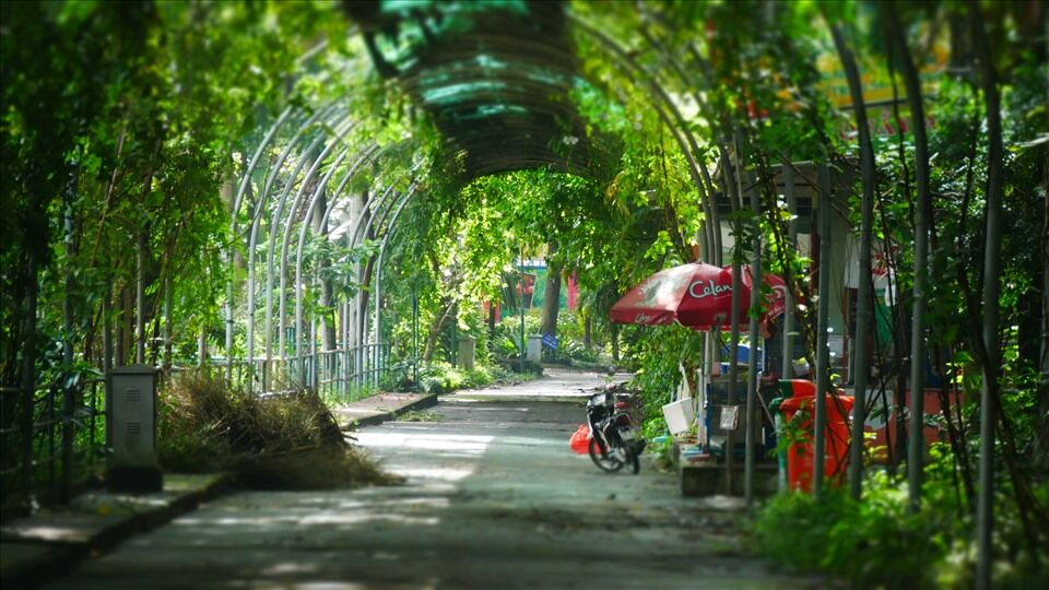 Saigon Thao Cam Vien Zoo 3
