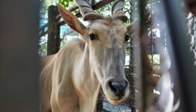 Saigon Family Adventure Full Day Private Tour with Airport Pickup