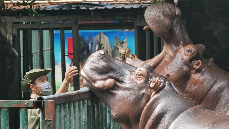 Saigon Thao Cam Vien Zoo 6