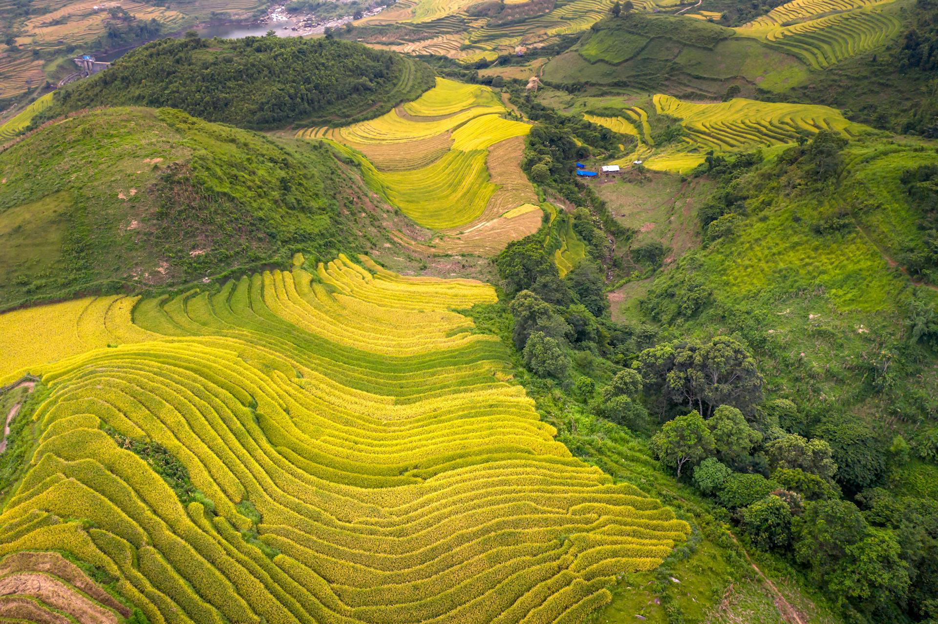 Start your journey with Vietnam’s scenic glow