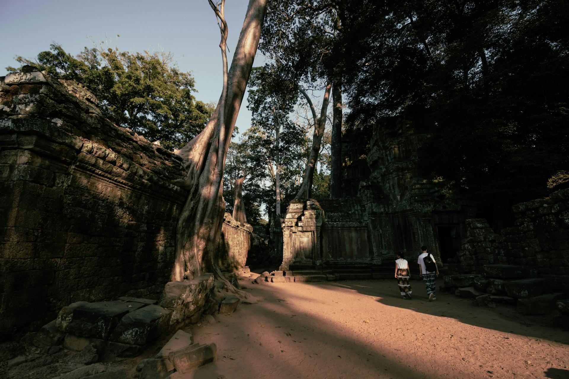 Explore the mystical ruins embraced by ancient trees
