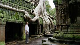 Ta Prohm Tree Roots and Temple