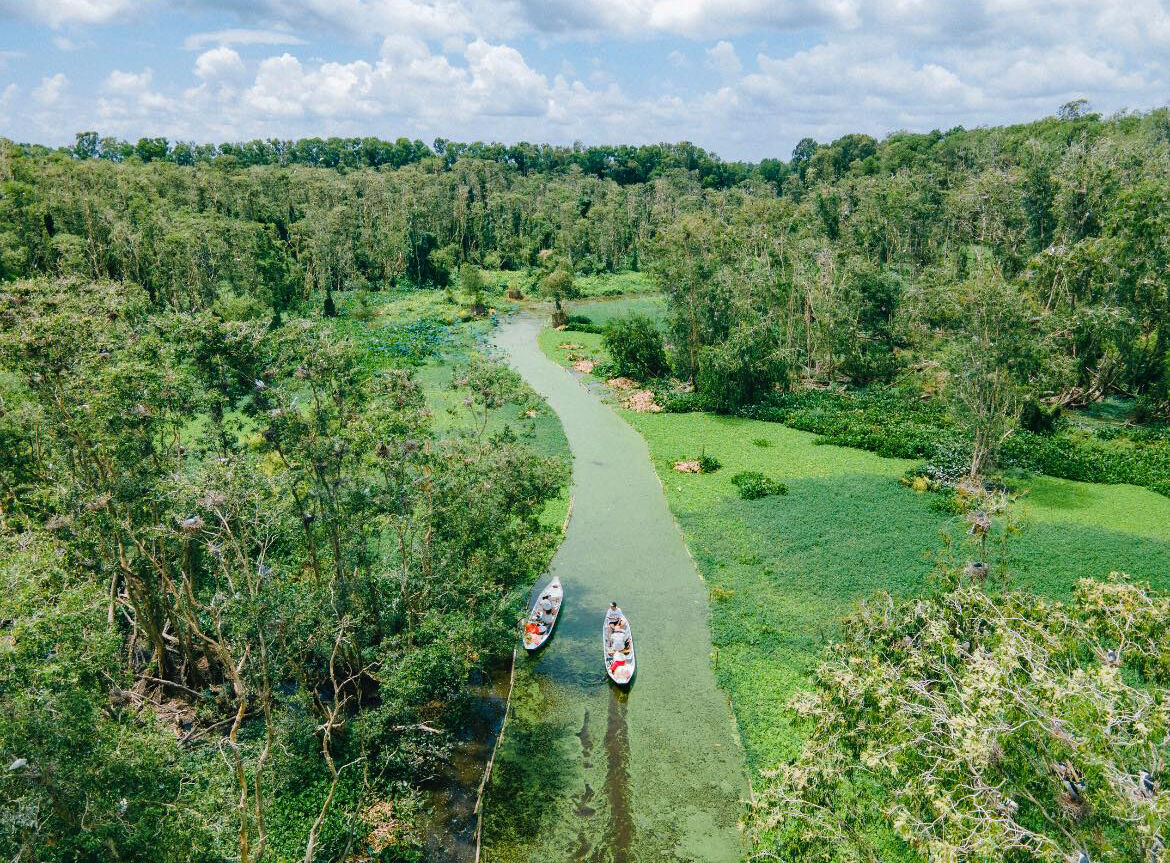 Tra Su Melaleuca Forest An Giang 1
