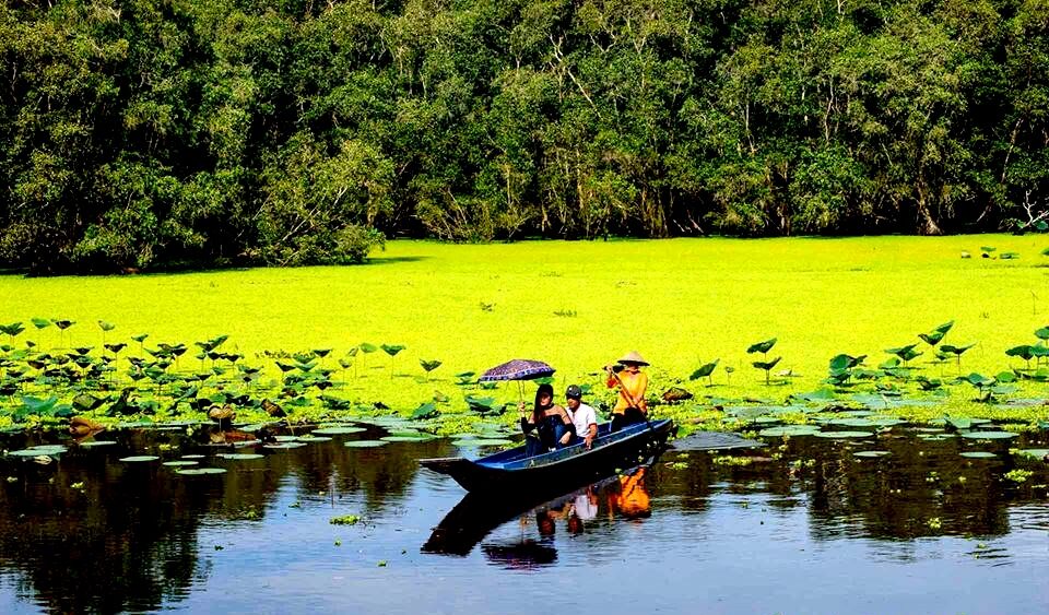 Tra Su Melaleuca Forest An Giang 7