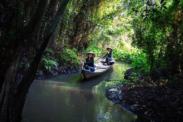 Immerse in Mekong’s vibrant river life